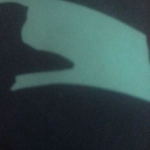 Meet your Posher, Jack